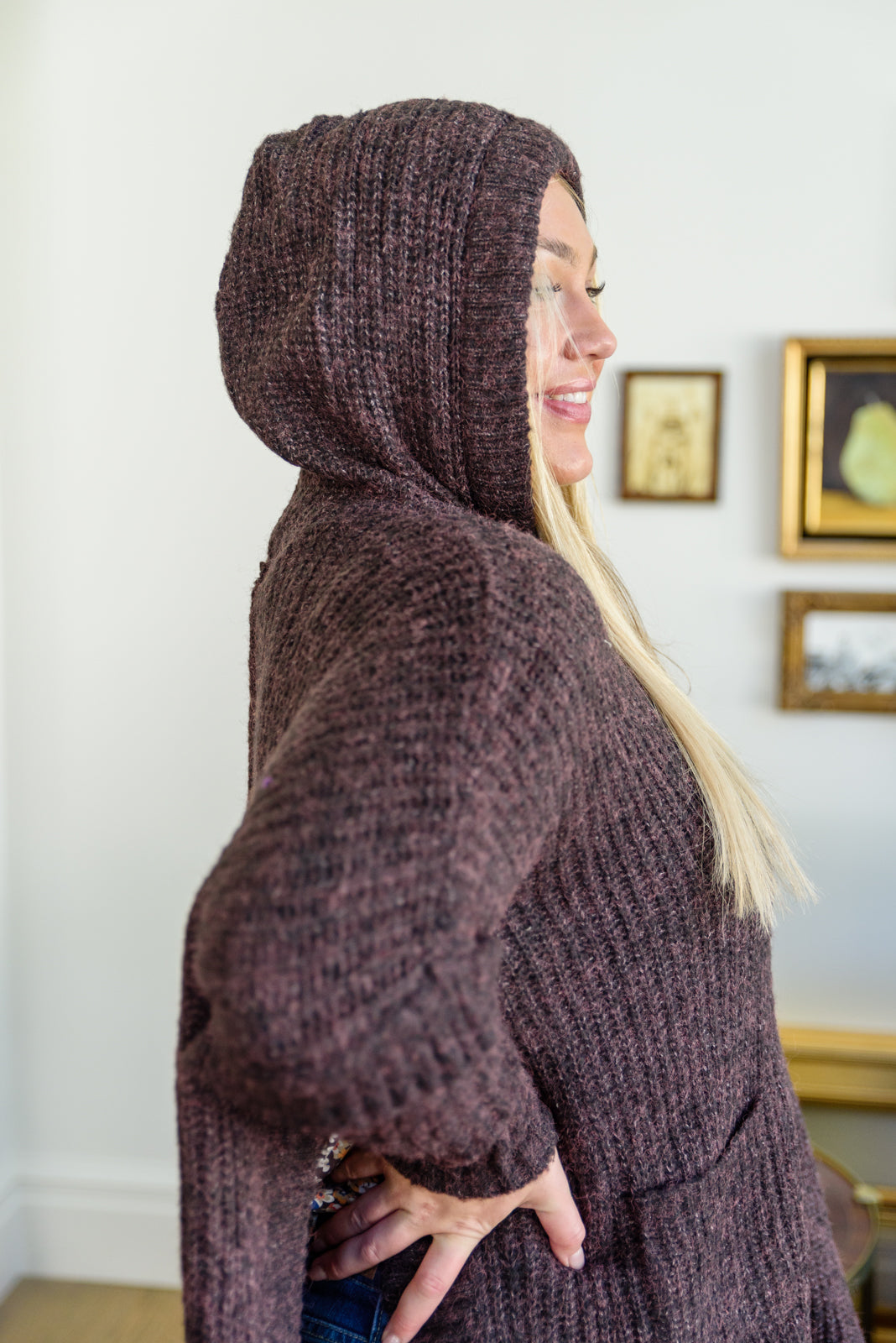 Views of Aspen Hooded Pull Over Sweater